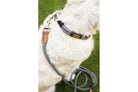 Räder Halsband "Groß" und Leine "Groß" aus der Serie Pets an einem Hund angeleint